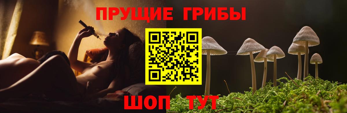 Галлюциногенные грибы GOLDEN TEACHER Карталы